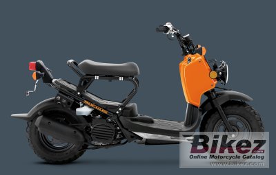2011 Honda Ruckus photo